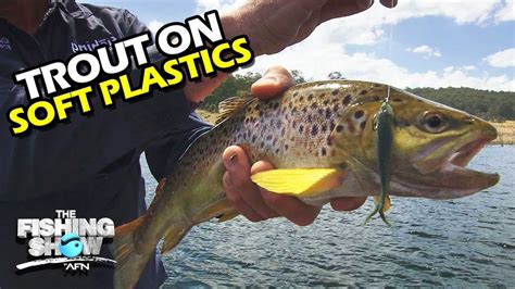 what pound test for soft plastics|Fishing Soft Plastics for Trout .